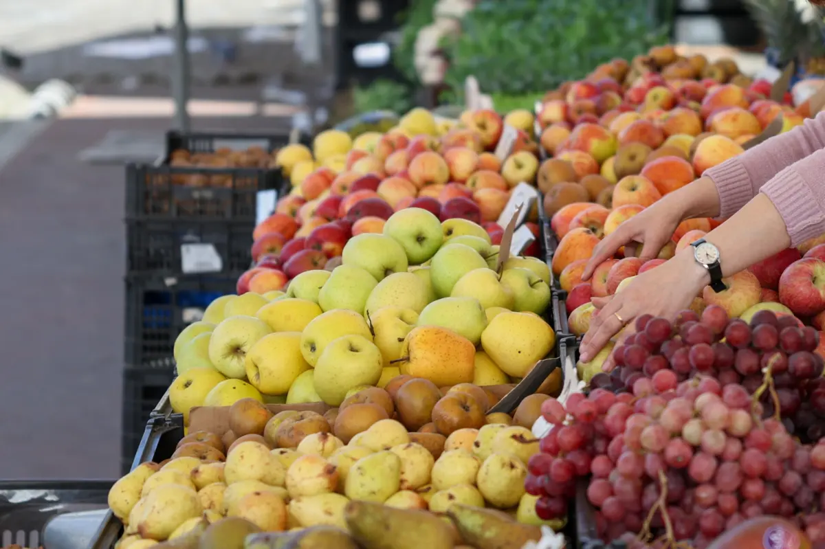 Preços de frutas e hortícolas foram os que mais baixaram entre 2022 e 2024