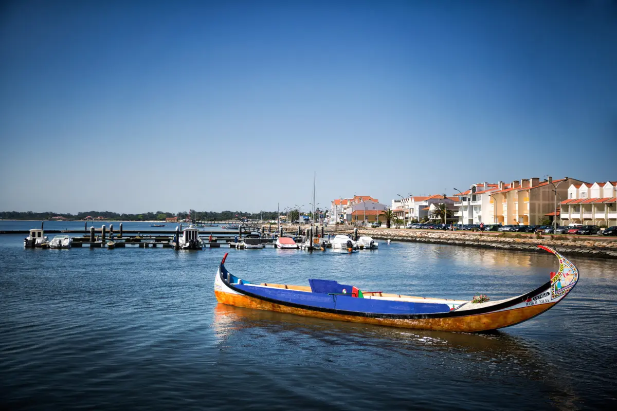 Imagem de contexto do artigo Candidatura do barco moliceiro a Património da Humanidade entregue na UNESCO