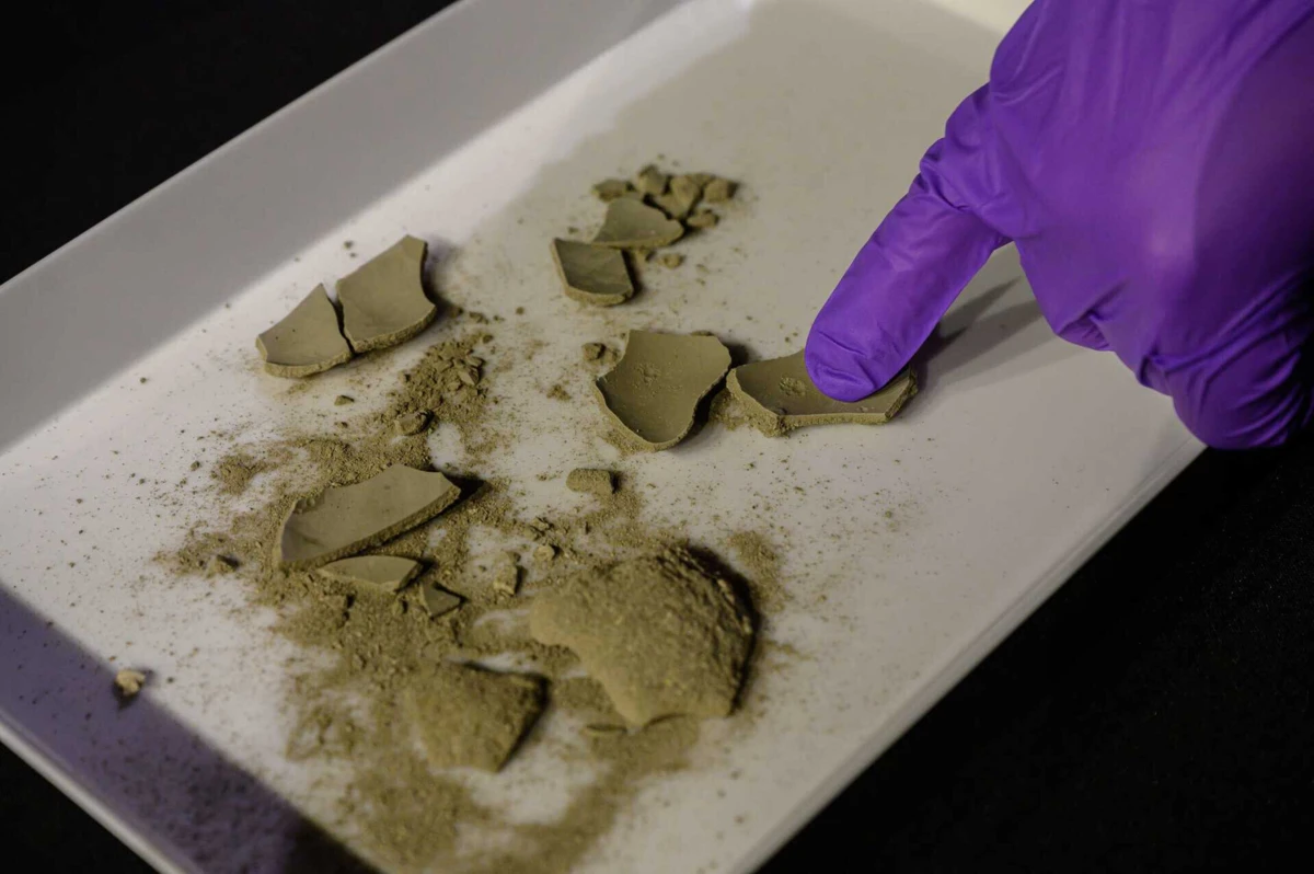 Imagem de contexto do artigo Misteriosa cápsula do tempo do século XIX escondia moedas e medalha