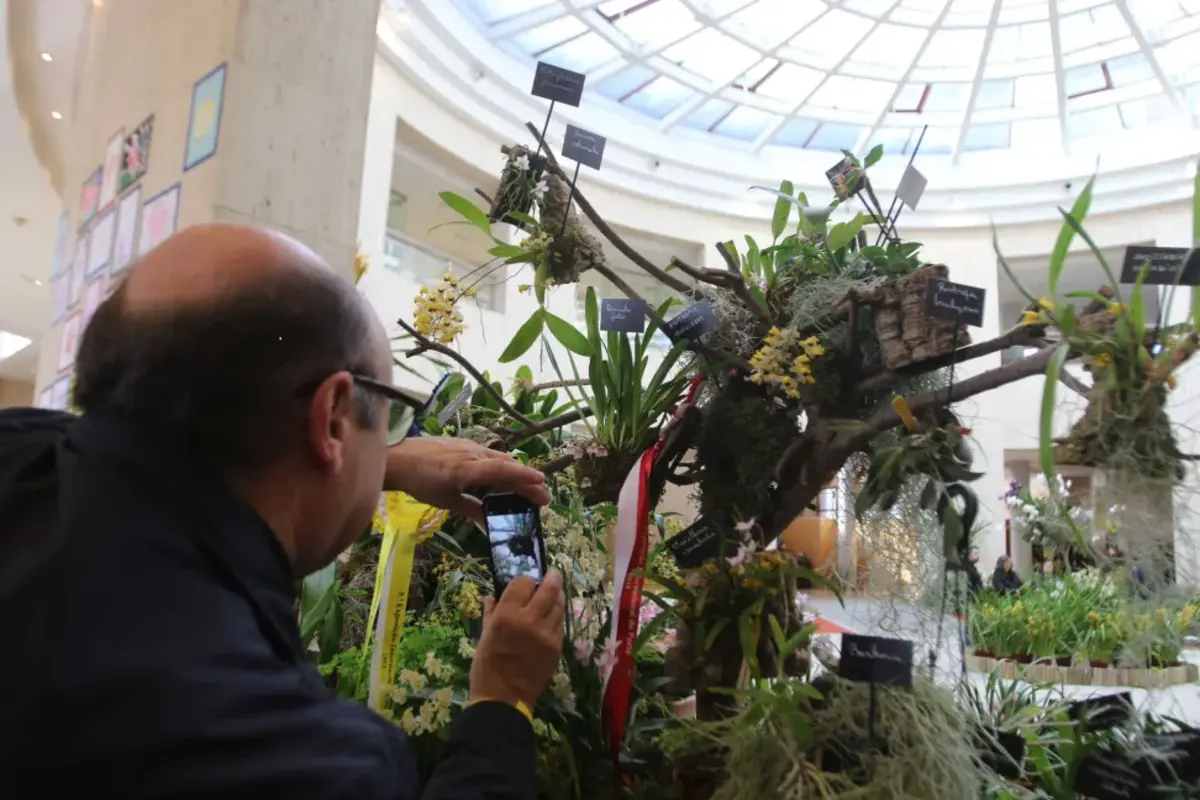 Mostra está na Fundação Cupertino de Miranda até domingo