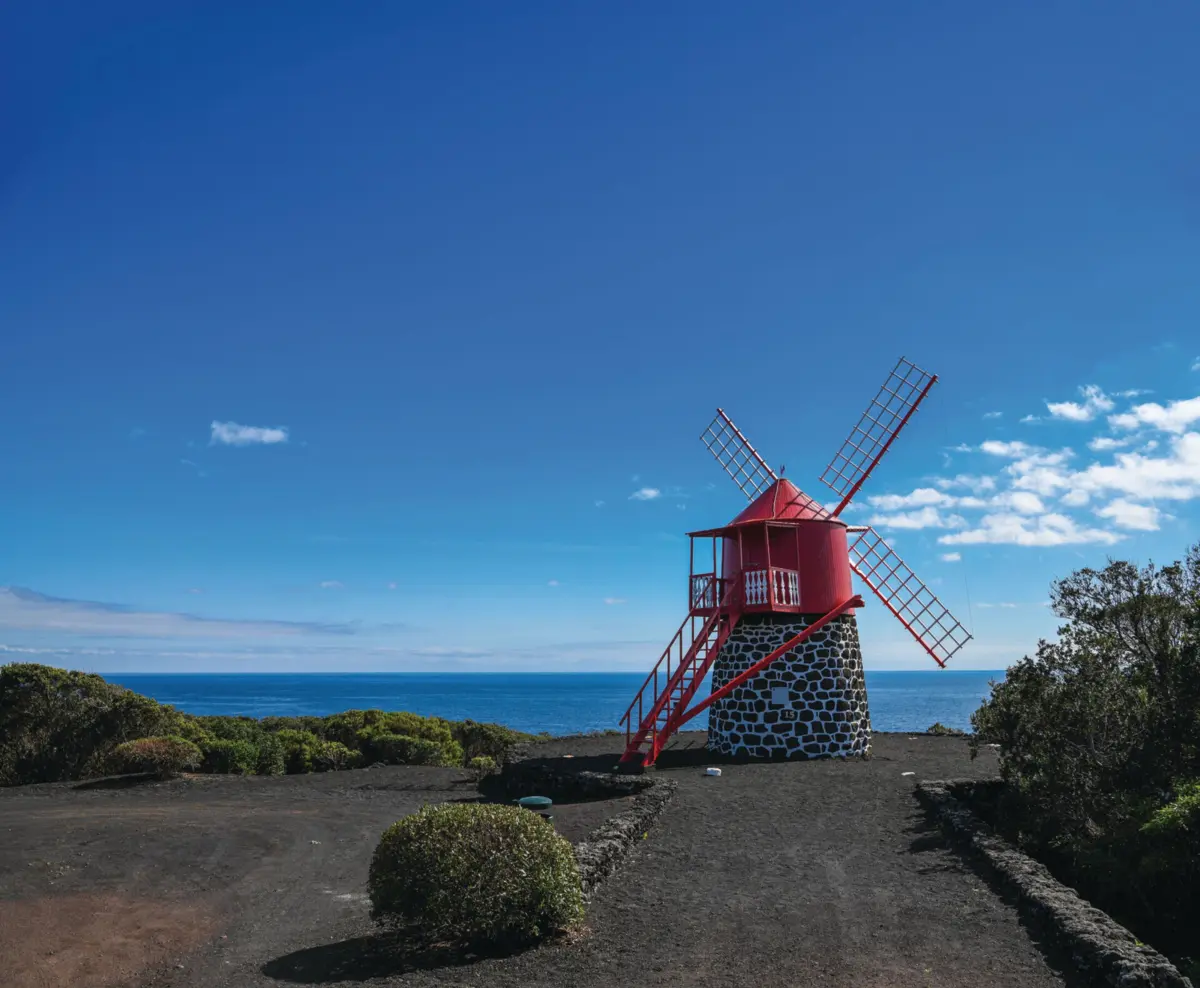 Pacto para os Oceanos reúne leis e práticas para defender os mares