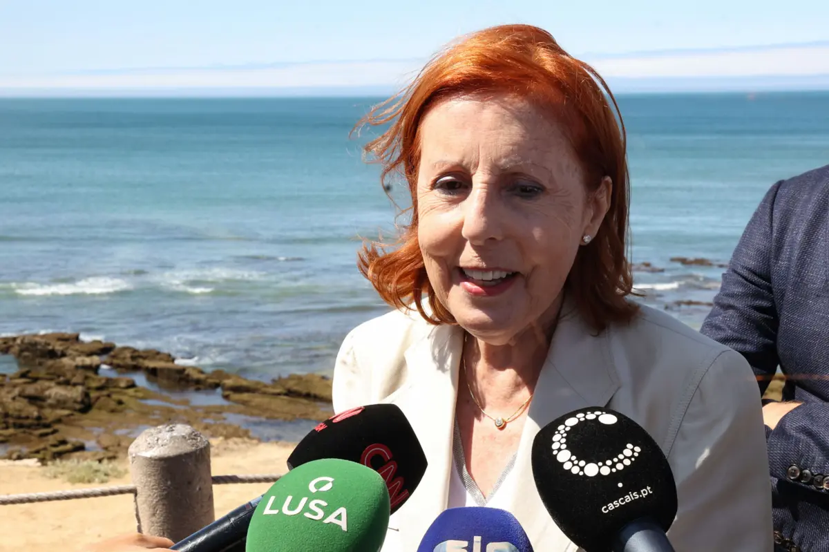 A ministra do Ambiente, Maria da Graça Carvalho