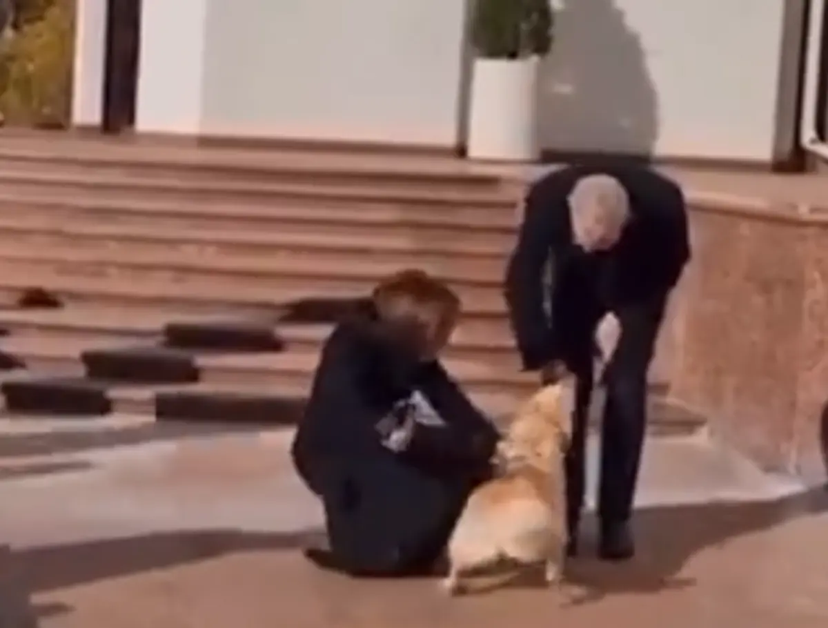 Presidente da Moldova disse que animal se assustou com a grande quantidade de pessoas à sua volta
