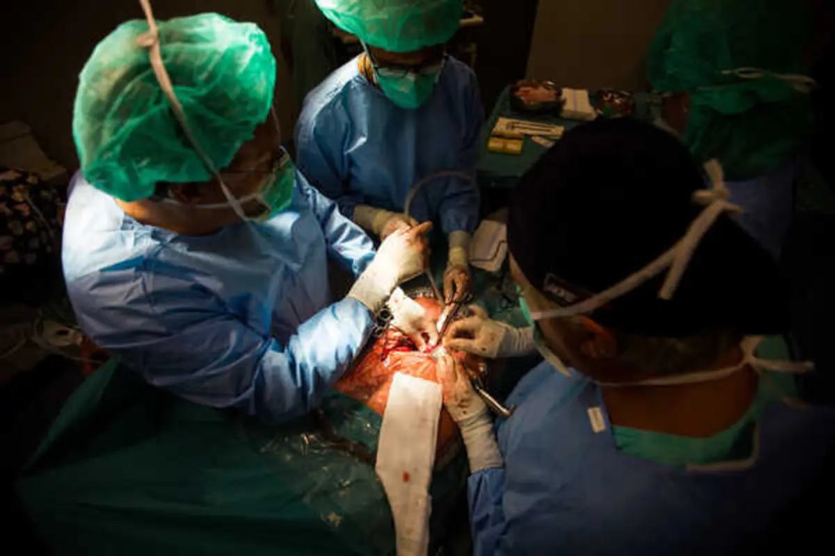 Só nos primeiros seis meses deste ano, foram feitos 450 transplantes em Portugal