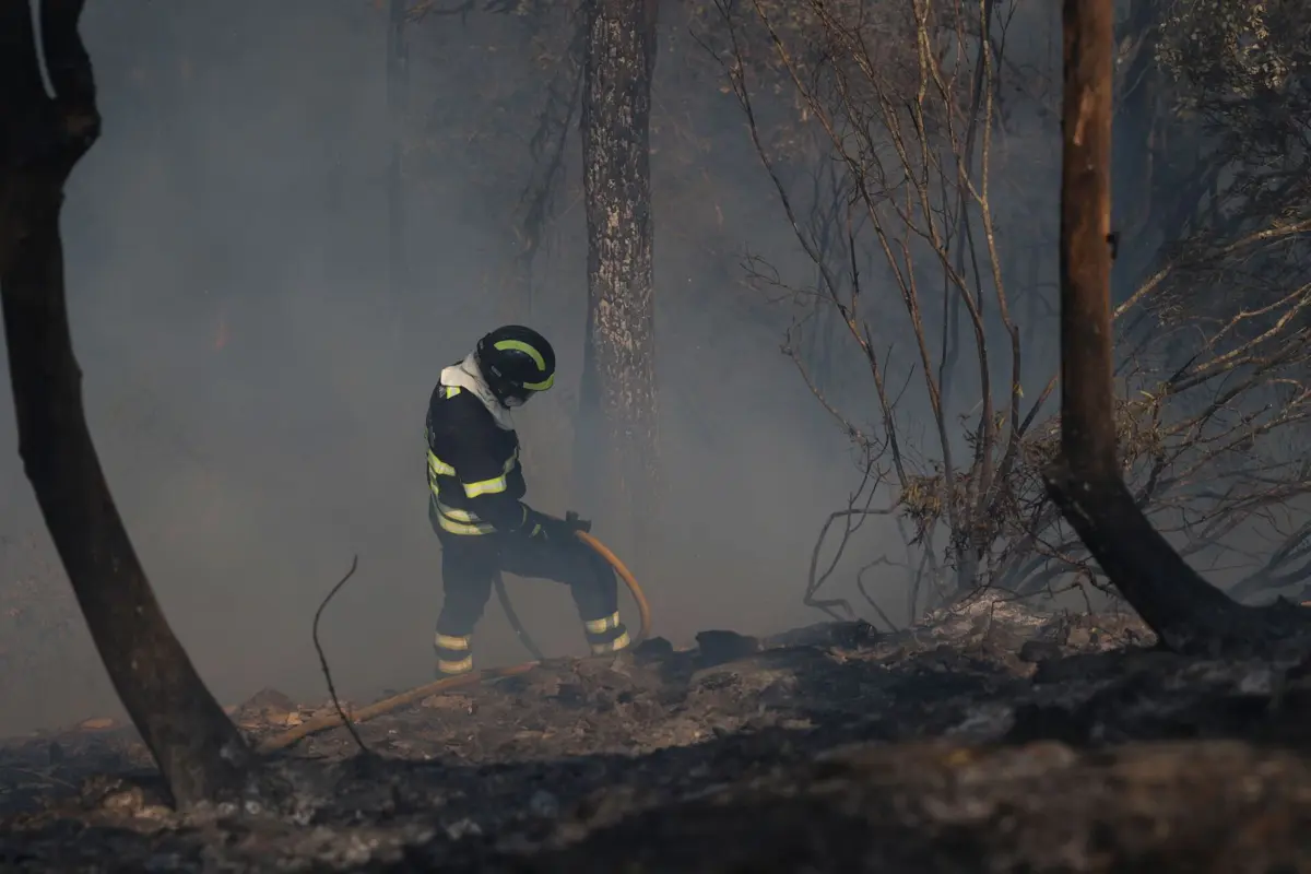 O incêndio que afetou Pampilhosa da Serra começou no dia 13 no Piódão, em Arganil