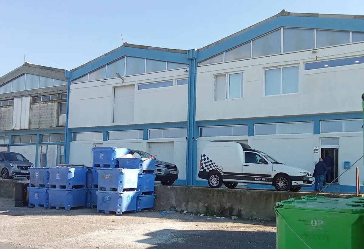 A 15 de janeiro, a DGRM fez uma fiscalização no porto de pesca da Póvoa e encontrou um negócio de venda de pescado