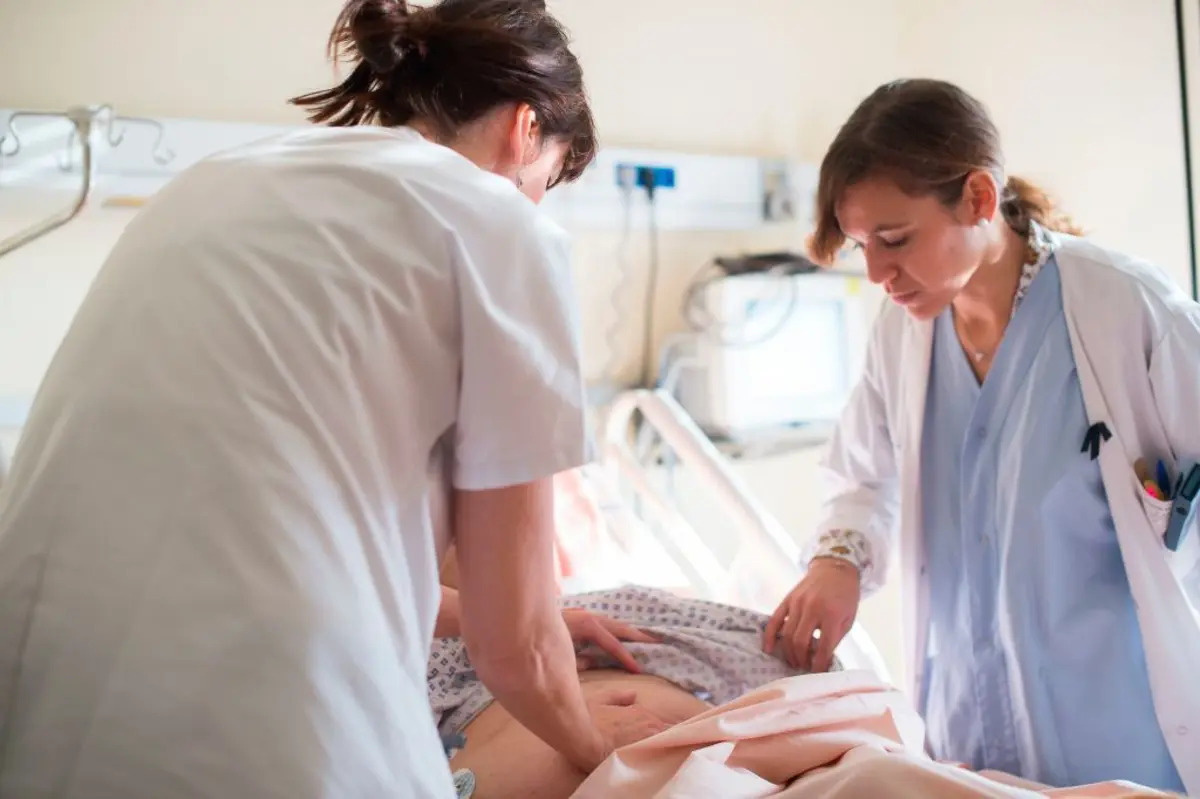 Imagem de contexto do artigo Dieta rica em gordura aumenta o risco de cancro do fígado