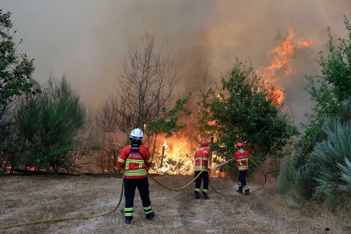 Imagem de contexto do artigo Fogos em Castro Daire são os únicos em curso em Portugal continental