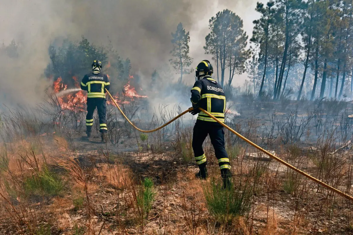 A PJ deteve 53 suspeitos e constituiu arguidos 191 indivíduos por incêndio doloso em 2024