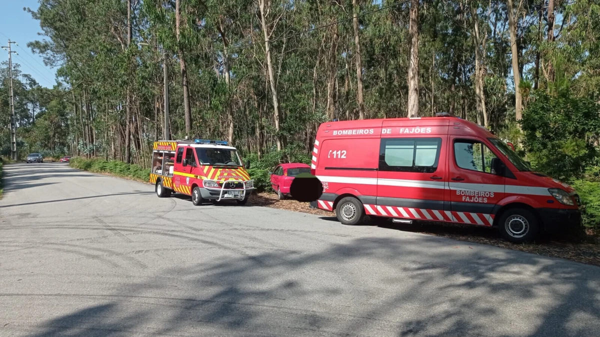 Imagem de contexto do artigo Homem de 69 anos morre num despiste em Oliveira de Azeméis