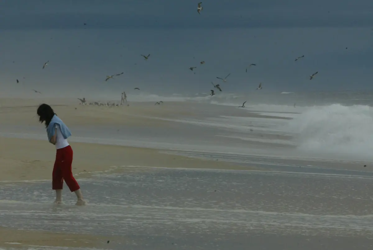 Imagem de contexto do artigo Má qualidade da água interdita Praia da Vieira na Marinha Grande