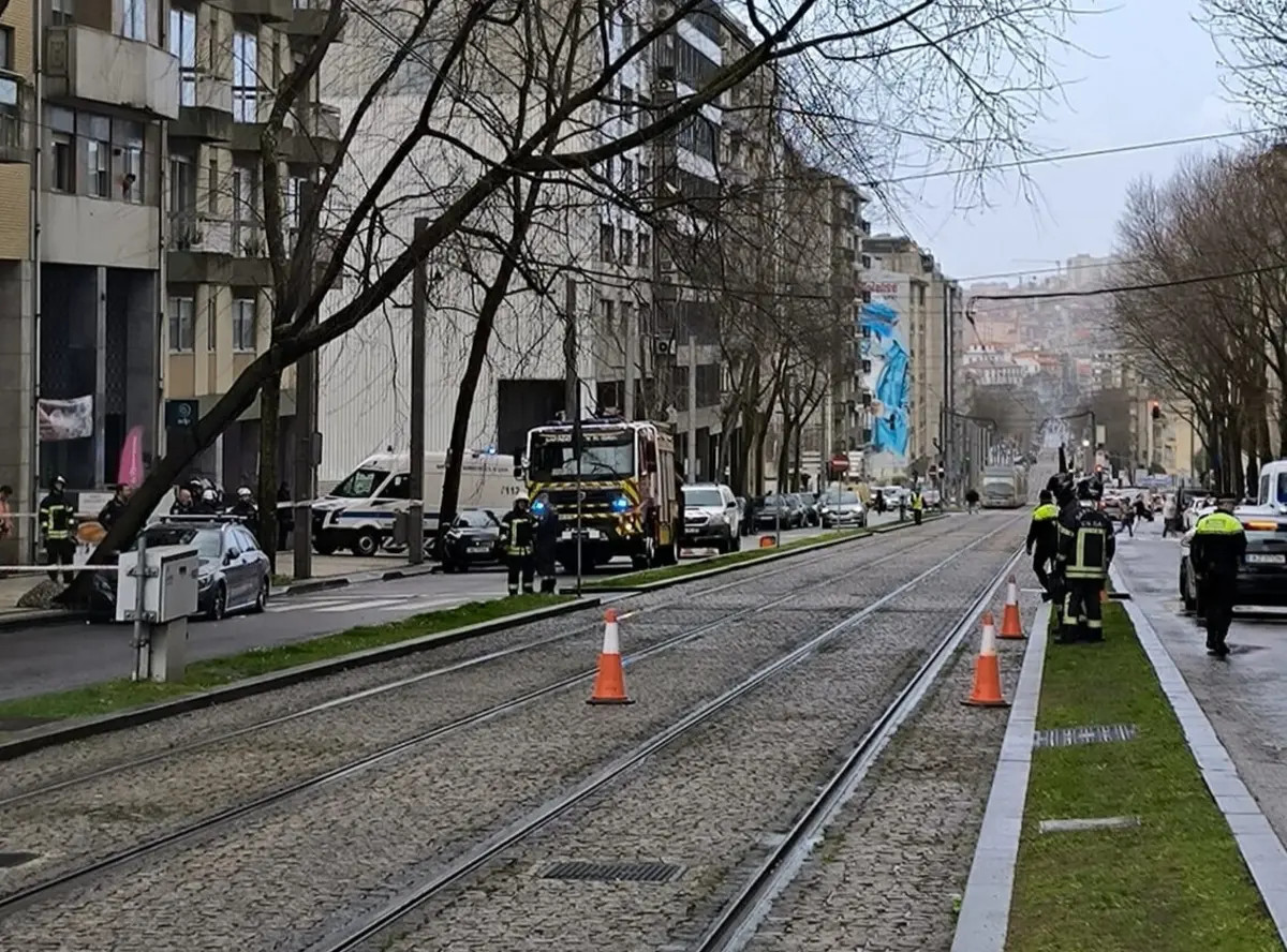 Imagem de contexto do artigo Metro parado entre Santo Ovídio e Câmara de Gaia devido a queda de árvore