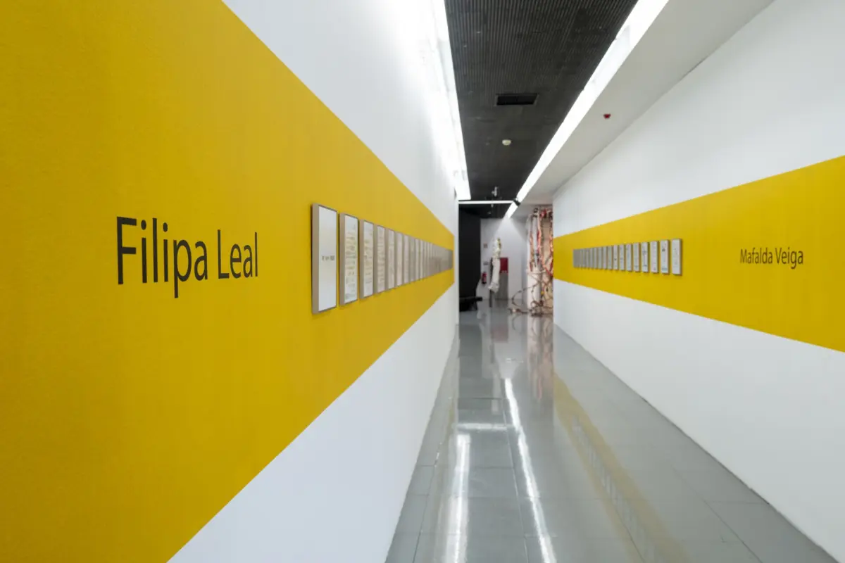 Exposição convida ao regresso a um tempo lento