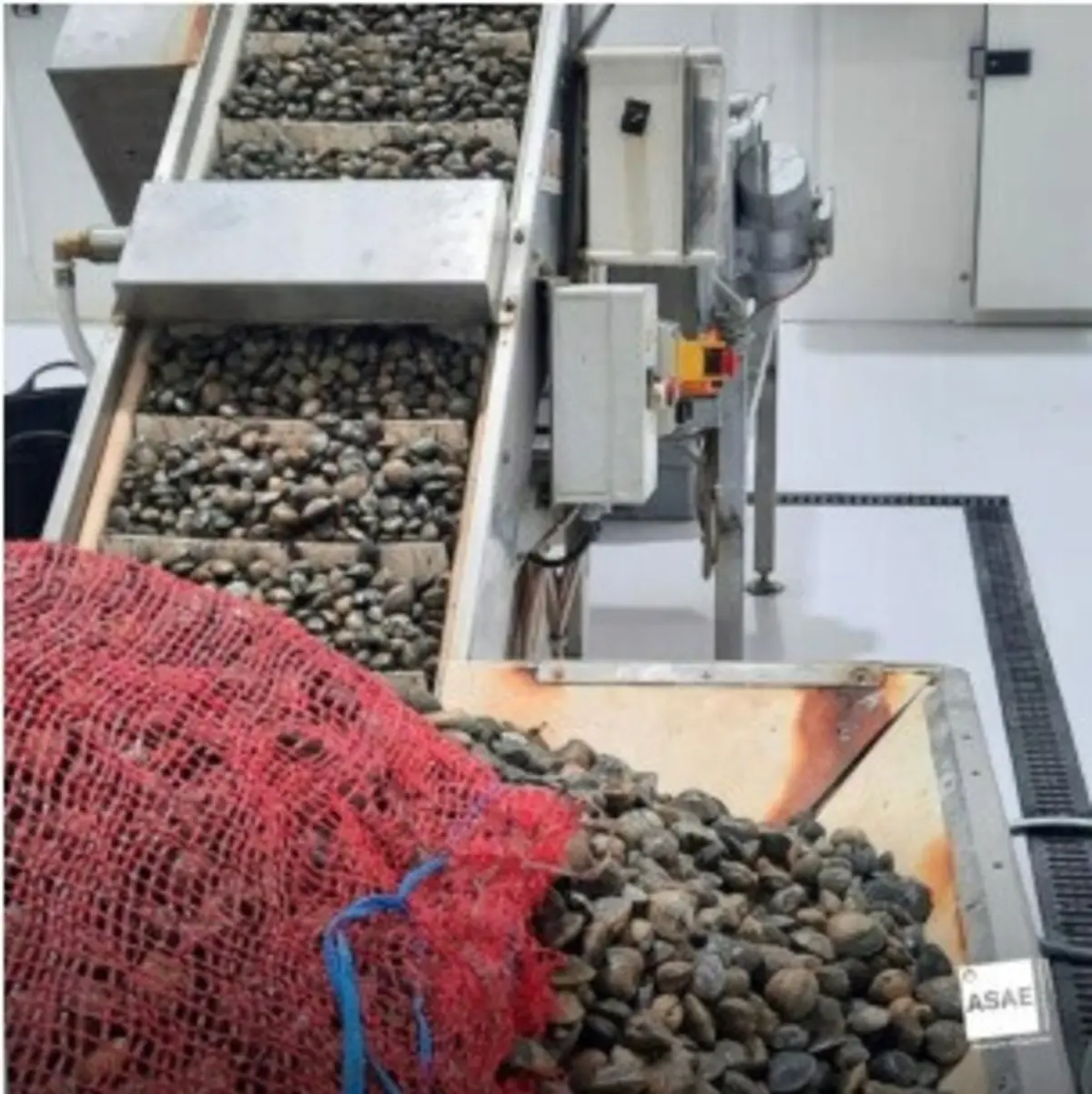 Centro de depuração operava sem licença