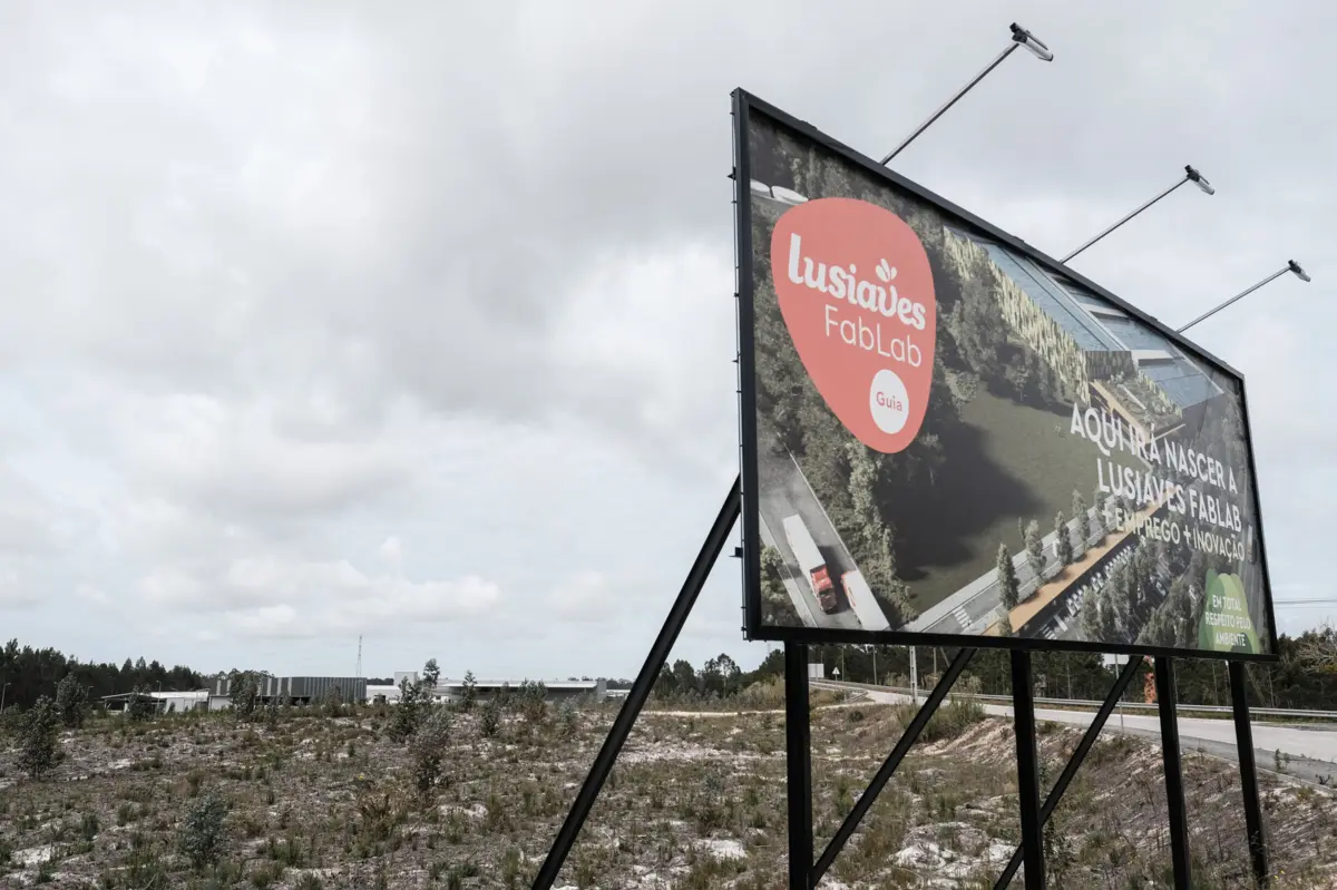 O grupo Lusiaves suspendeu quatro funcionários de uma exploração na Figueira da Foz