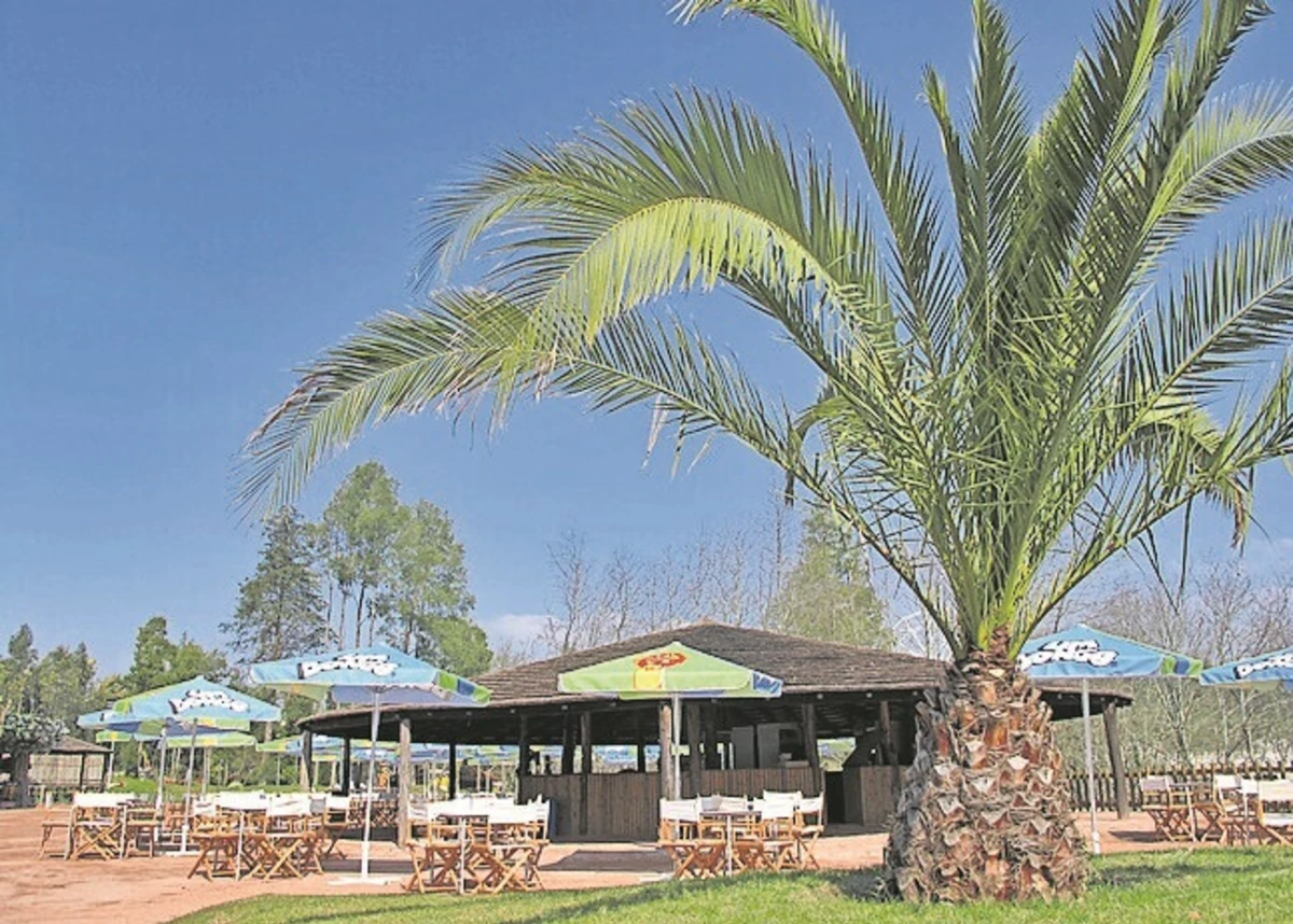 Mulher estava com a filha na Magikland