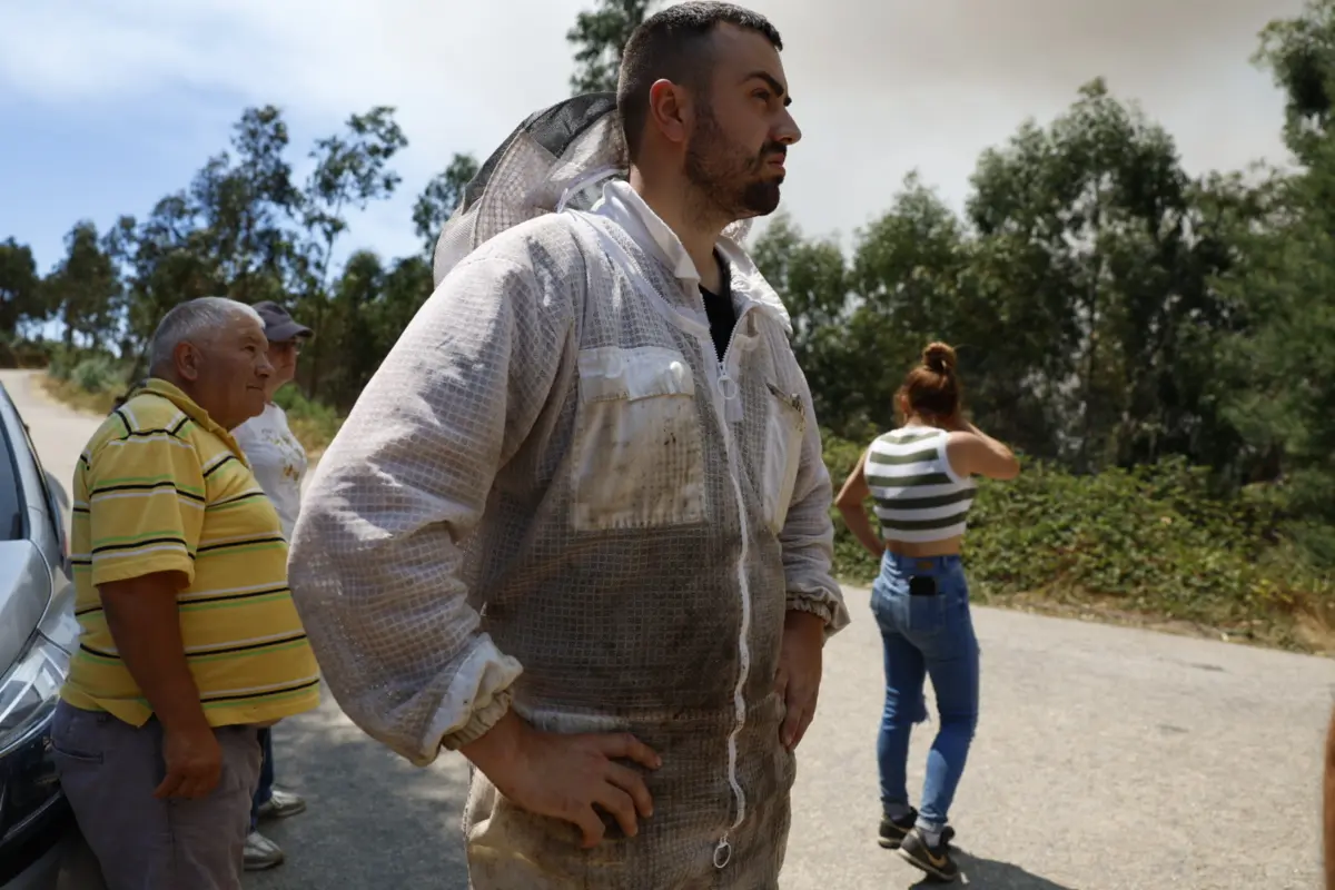 Apicultor João Marques tem 100 colmeias na linha do fogo