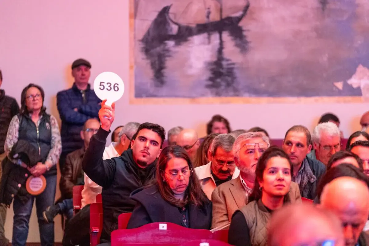Leilão atraiu muita gente ao Teatro da Vista Alegre em Ílhavo