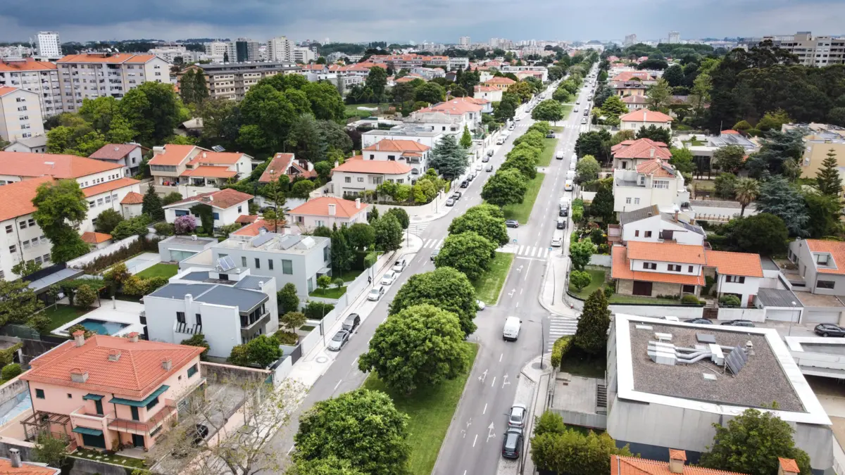 Áreas de vegetação "diminuíram drasticamente" no Porto desde 1947