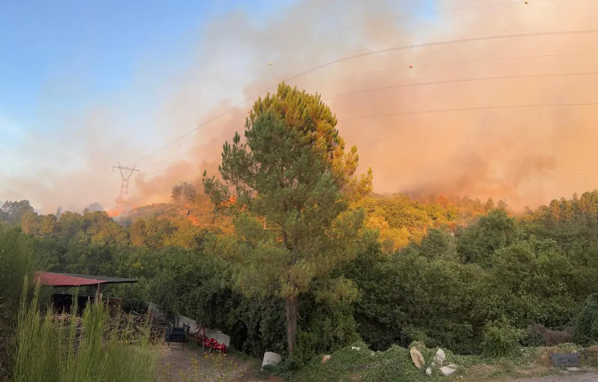 No combate ao incêndio estão 141 operacionais, com 42 veículos e oito meios aéreos
