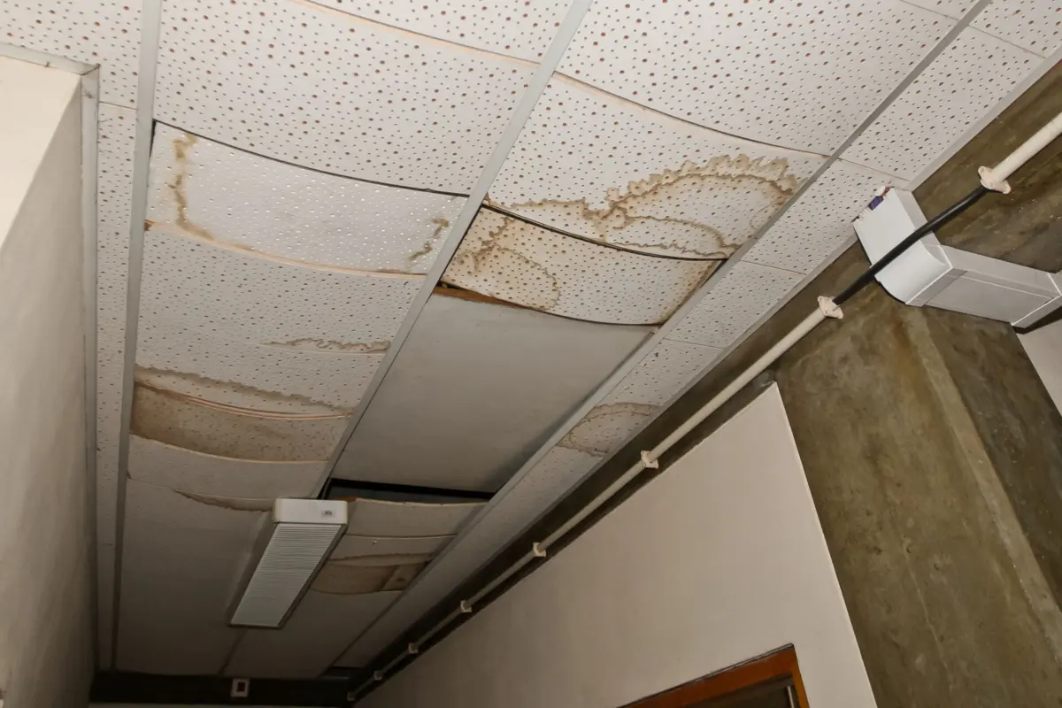 Constante degradação do edifício leva pais a considerar que a Escola Básica Eugénio de Andrade não reúne condições de segurança