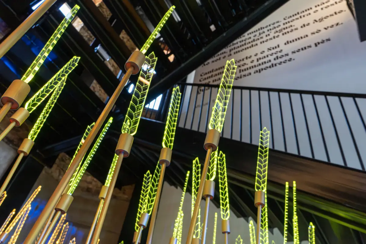 Instalação artística que mostra ciclo do cereal é ponto de partida para contar história do arroz no município