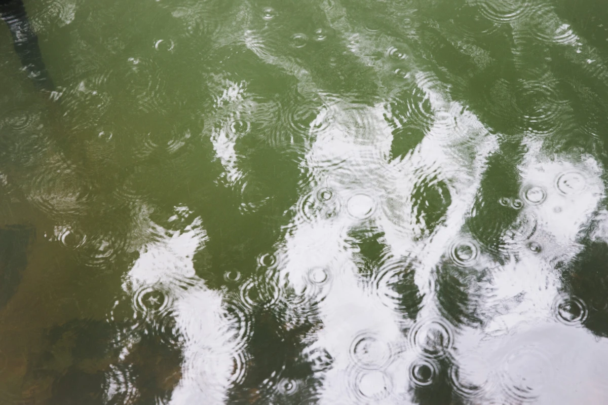 Açores encontram-se sob a influência da passagem da tempestade subtropical Patty