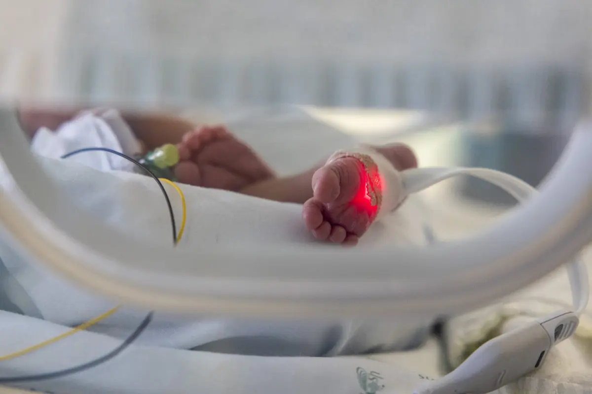 Investigação incidiu numa rede de tráfico que faz chegar recém-nascidos à Europa