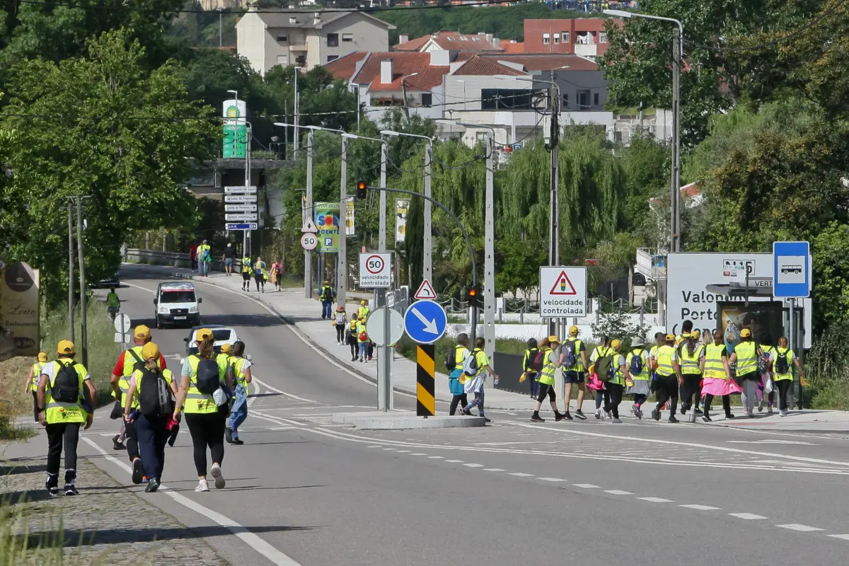 Cerimónias oficiais da peregrinação decorrerem apenas nos dias 12 e 13
