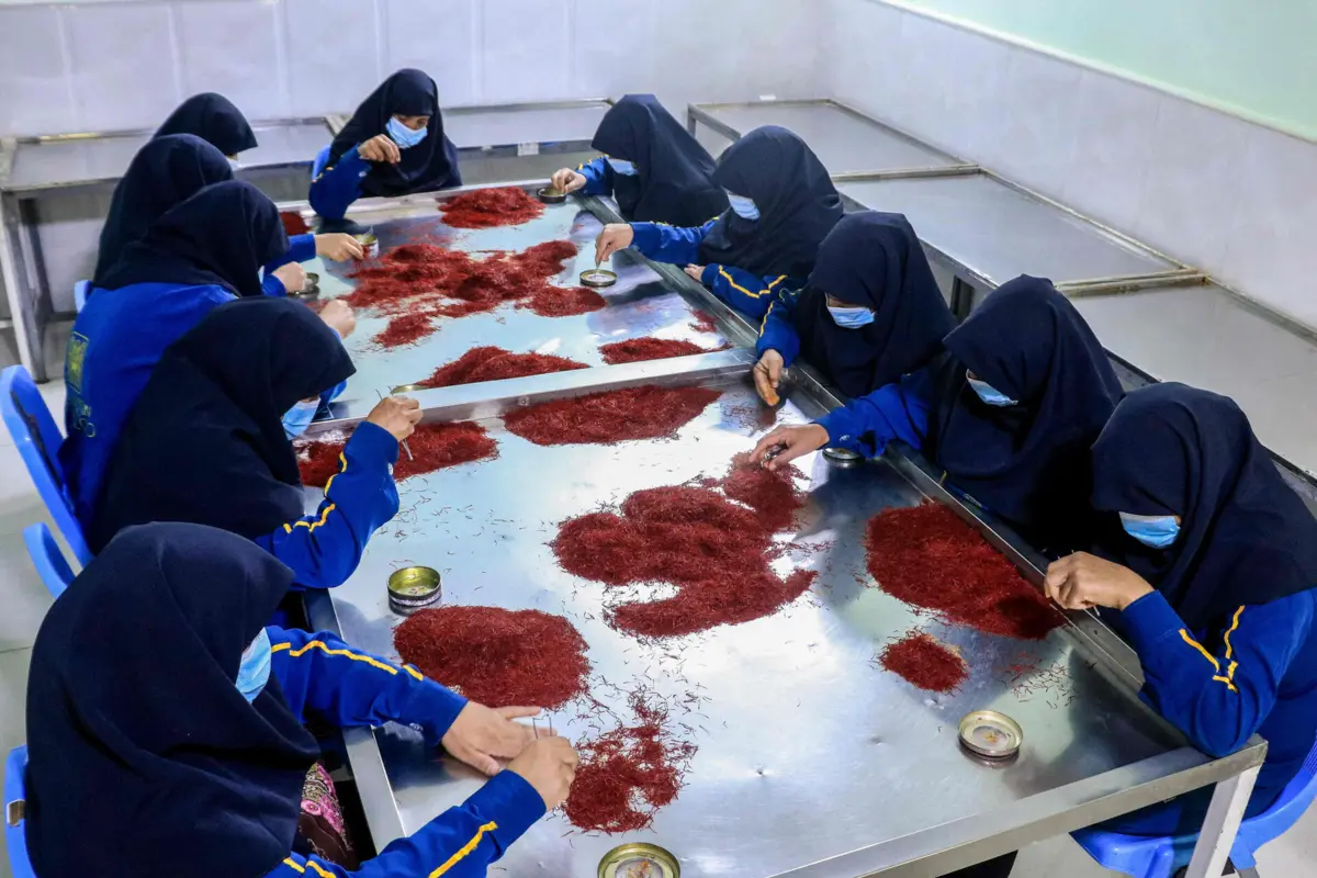 Há "um sistema institucionalizado de discriminação, segregação, desrespeito pela dignidade humana e exclusão de mulheres e raparigas"