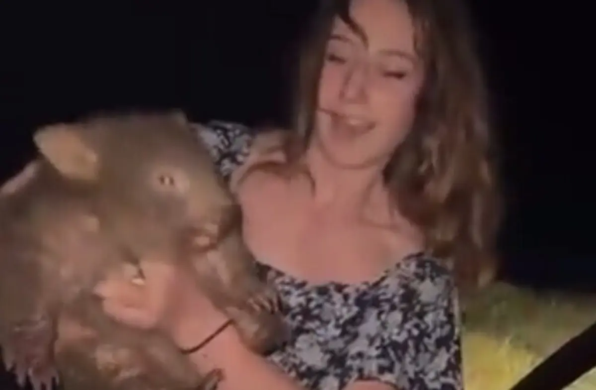 O Ministro do Interior, Tony Burke, disse estar a investigar se a mulher tinha violado o seu visto