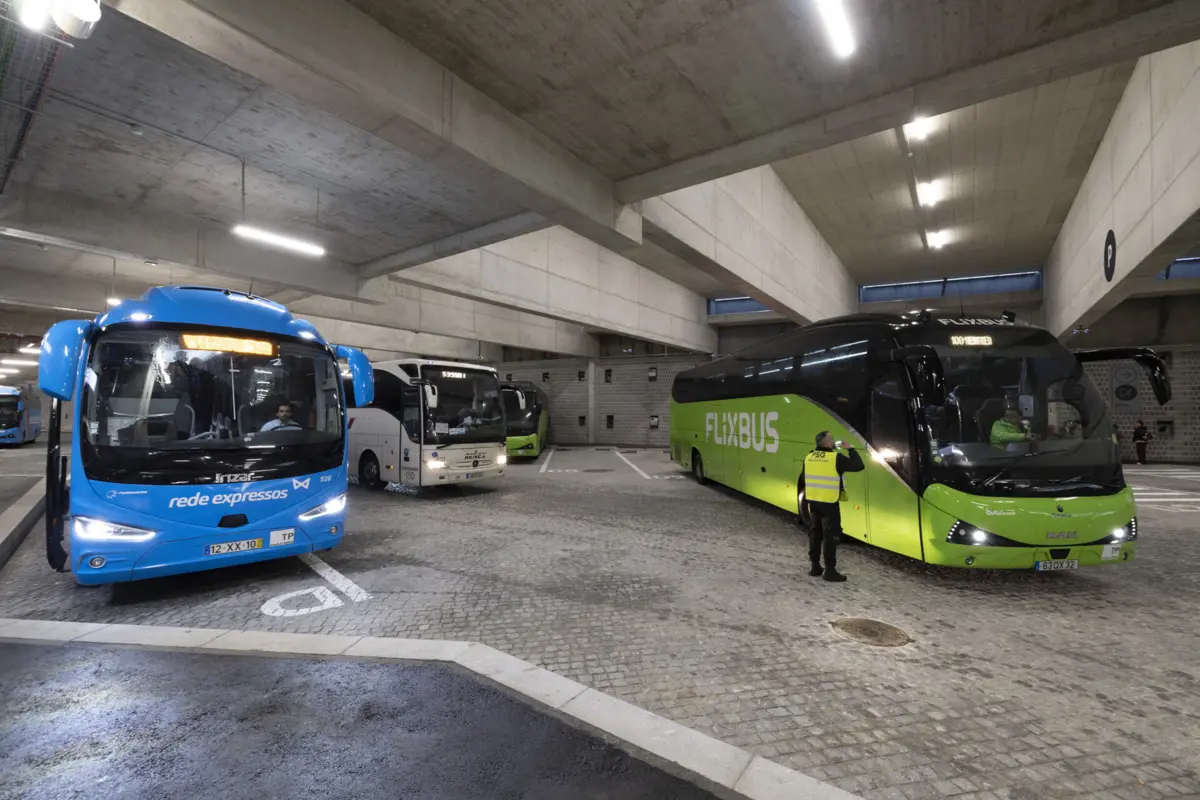 Rede de Expressos e Flixbus são as empresas que dominam o mercado rodoviário