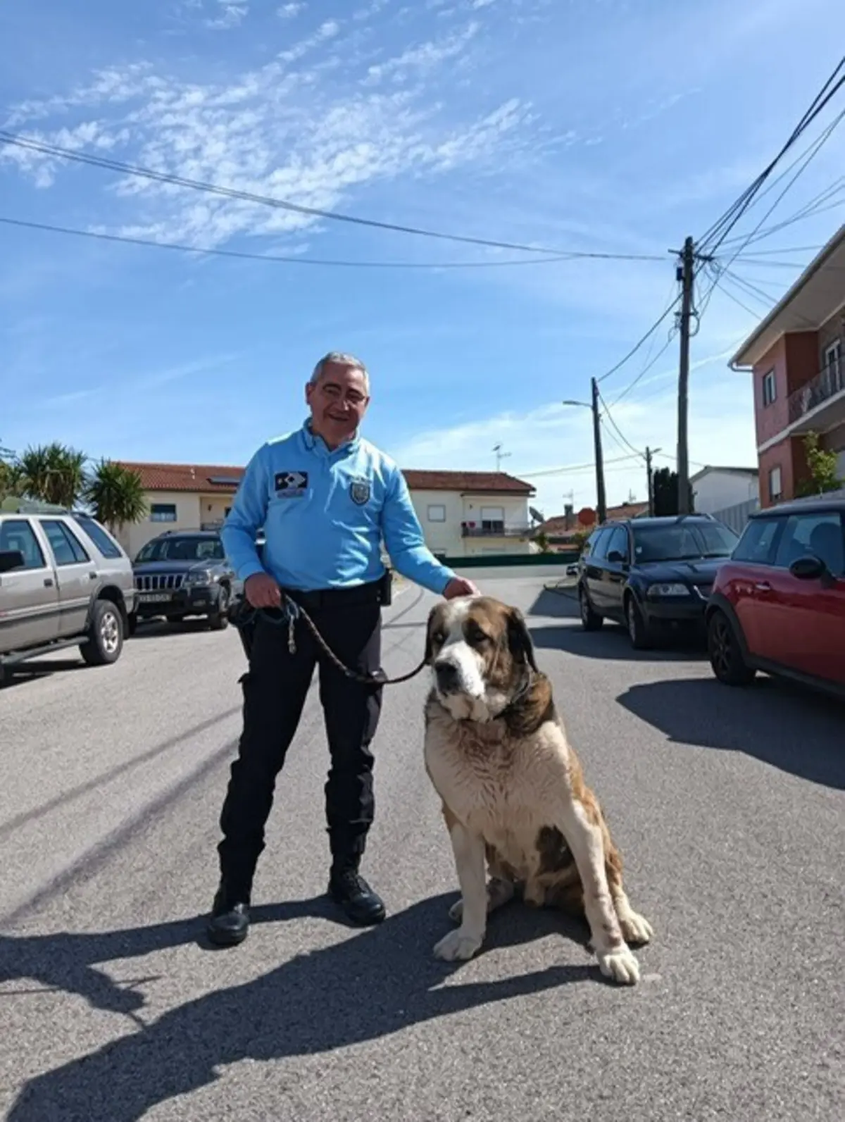 Animal de grande porte estava bem cuidado e alimentado