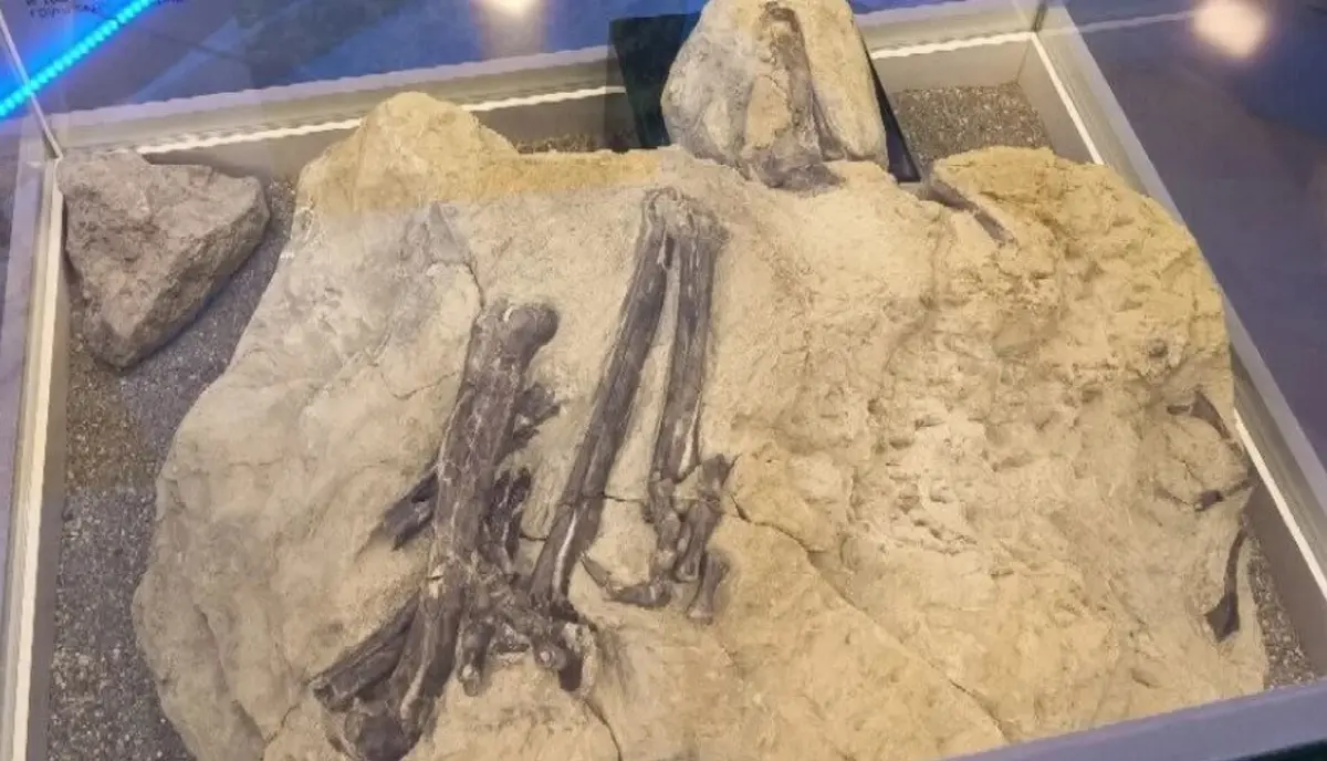 Imagem de contexto do artigo Descoberta nova espécie de dinossauro na Sibéria