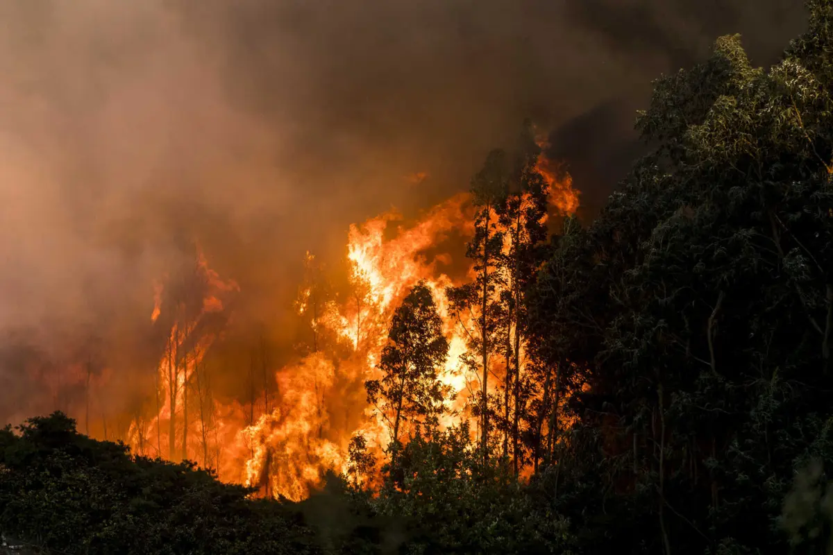 O fogo está a progredir entre as localidades de Aldeia do Bispo e Aldeia de João Pires