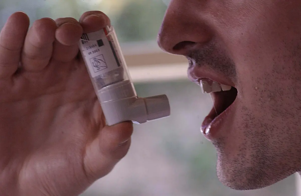 Imagem de contexto do artigo Captura de gases libertados por inaladores exige plantar 1,3 milhões de árvores