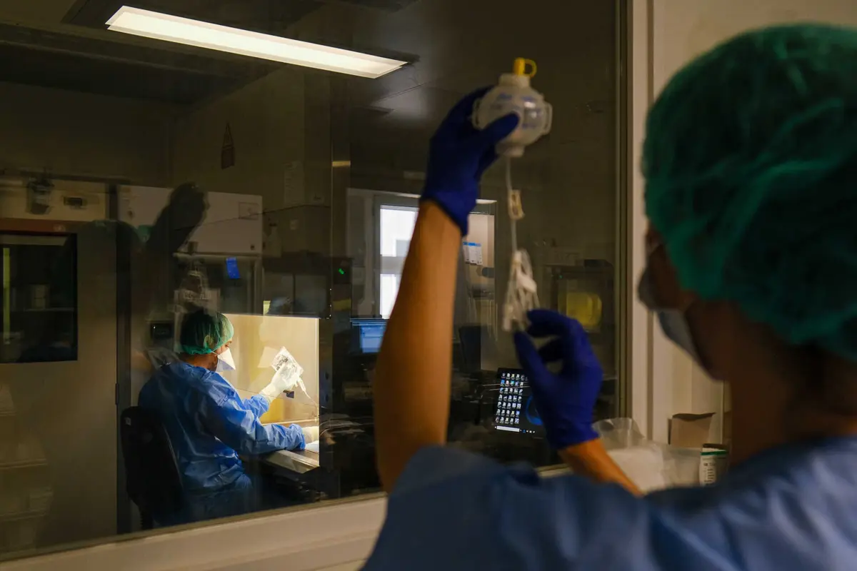 Imagem de contexto do artigo Farmacêuticos do SNS “esquecidos” reivindicam valorização da profissão