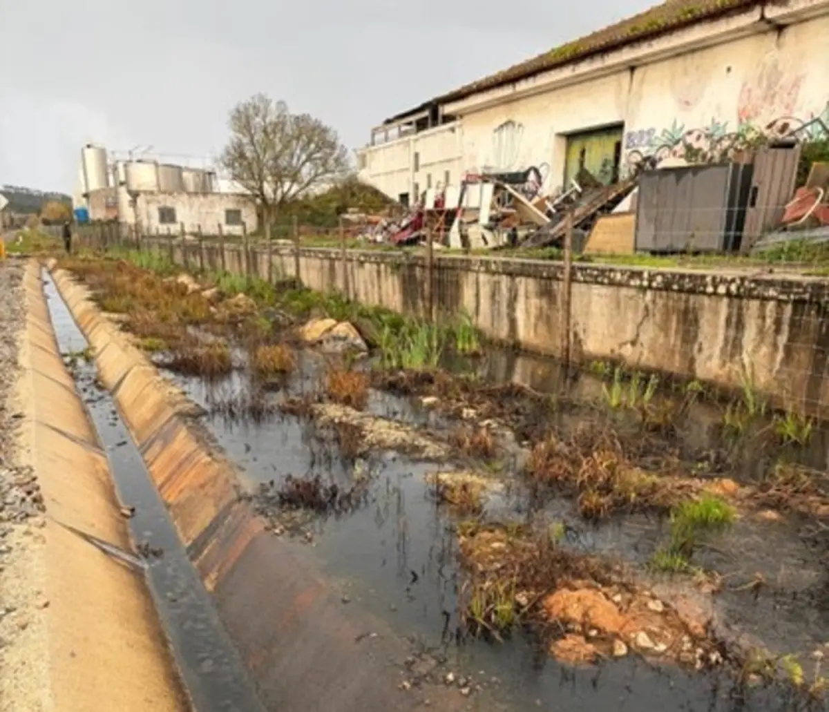Imagem de contexto do artigo Destilaria causava descarga ilegal de águas residuais no Bombarral