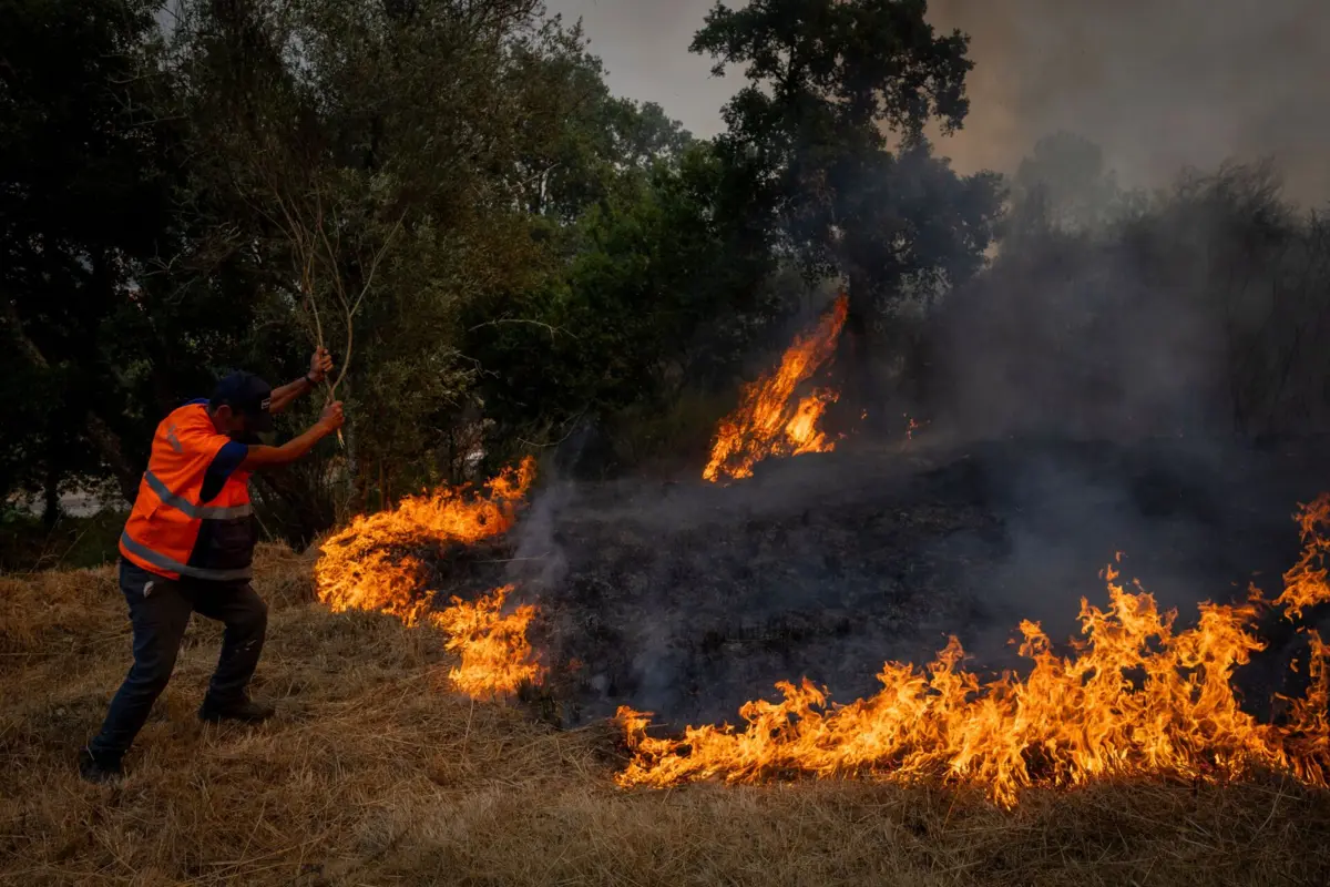 Entre as medidas em vigor está a proibição de acesso, circulação e permanência no interior dos espaços florestais