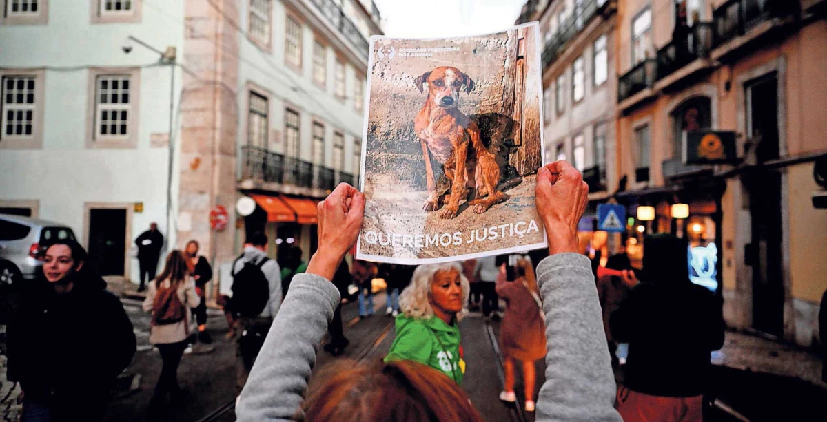 Apesar das várias centenas de crimes registados, só uma pequena parte tem chegado a tribunal