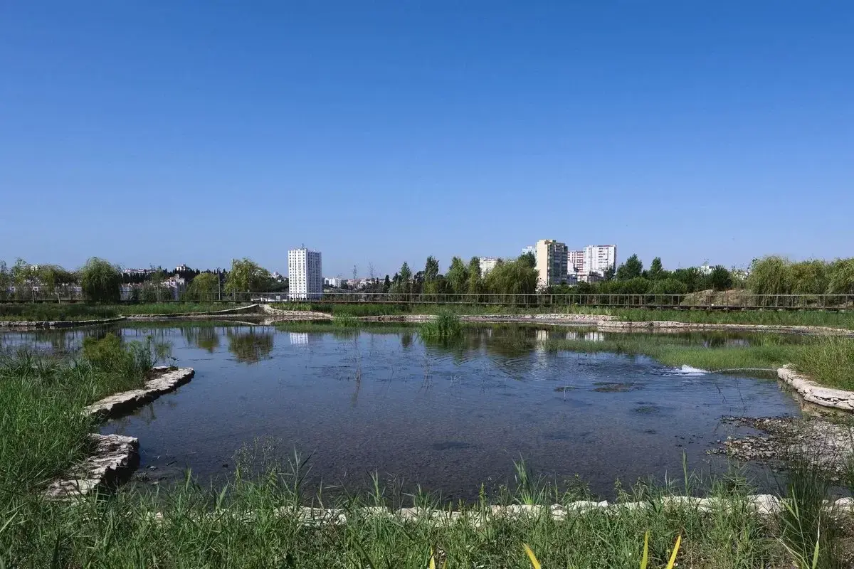 Parque Verde de Carnide