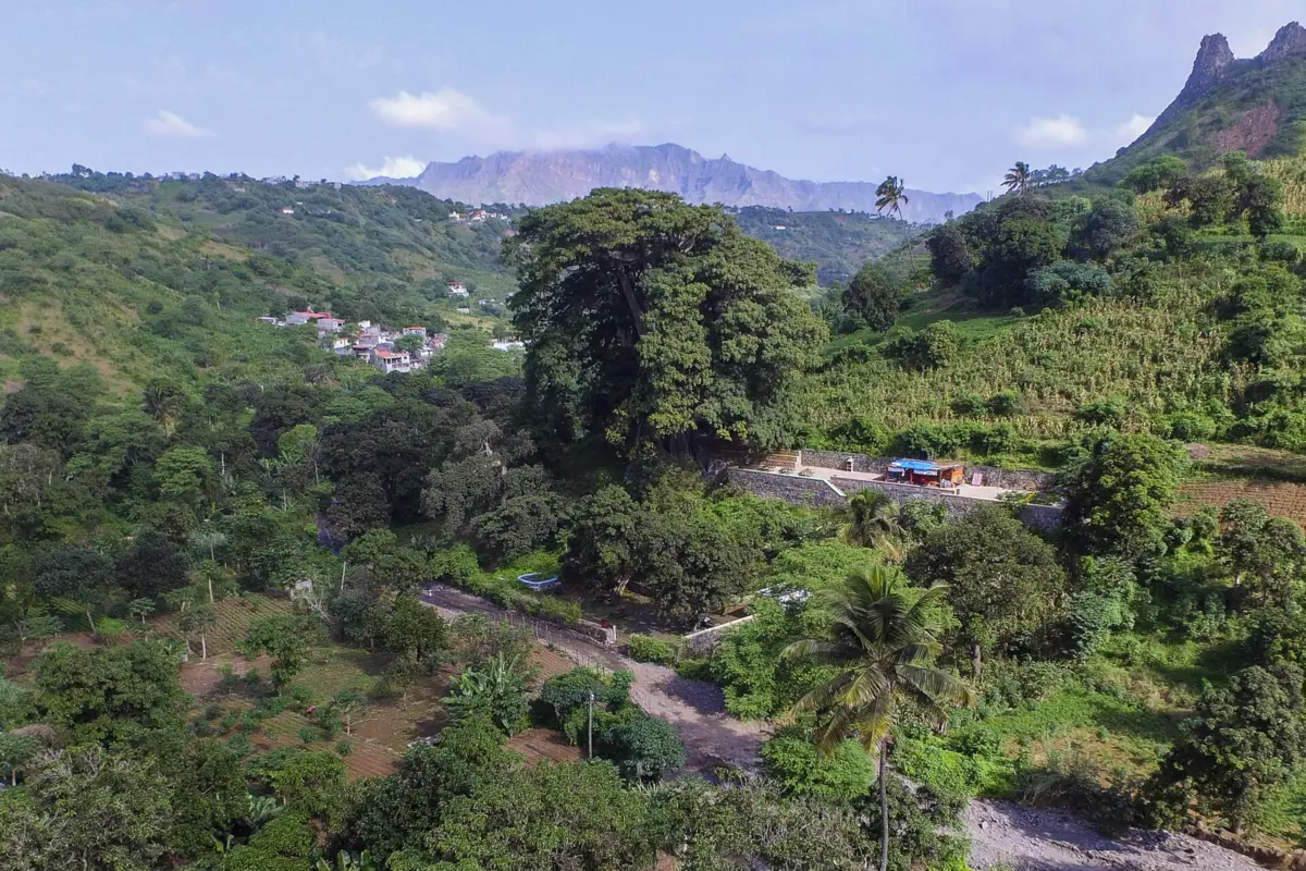 Buscas foram realizadas no âmbito de "novas denúncias" por suspeitas de "crimes de falsificação de documentos, participação ilícita em negócio, defraudação de interesses públicos patrimoniais e corrupção ativa e passiva"