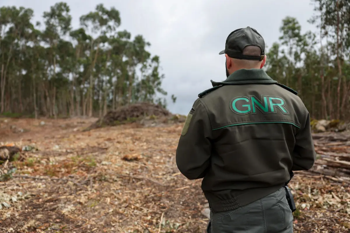 GNR deteve dois homens por caçar com meios proibidos