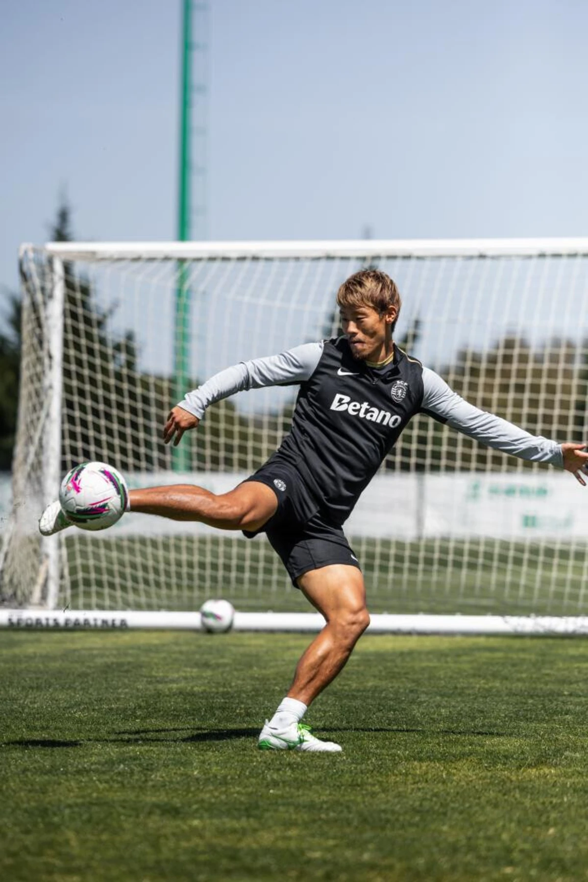 Morita regressou aos trabalhos