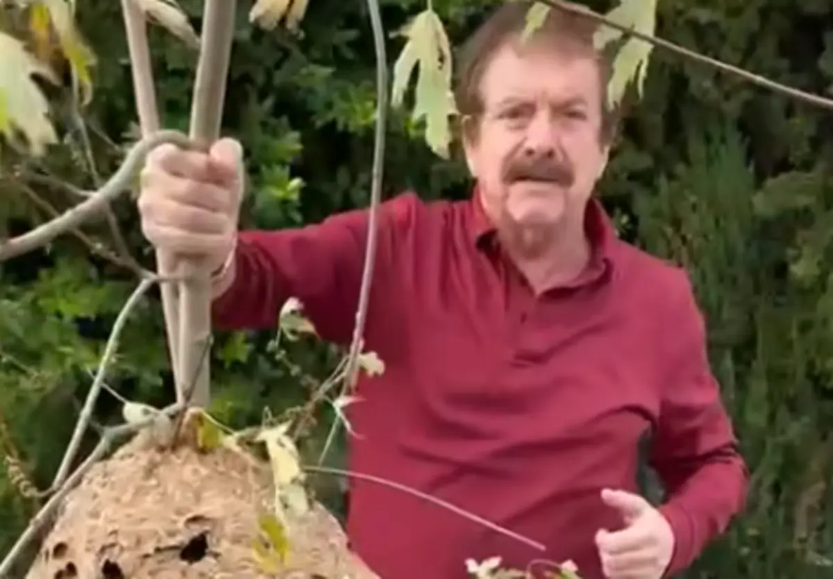 Cantor encontrou ninho perto de casa