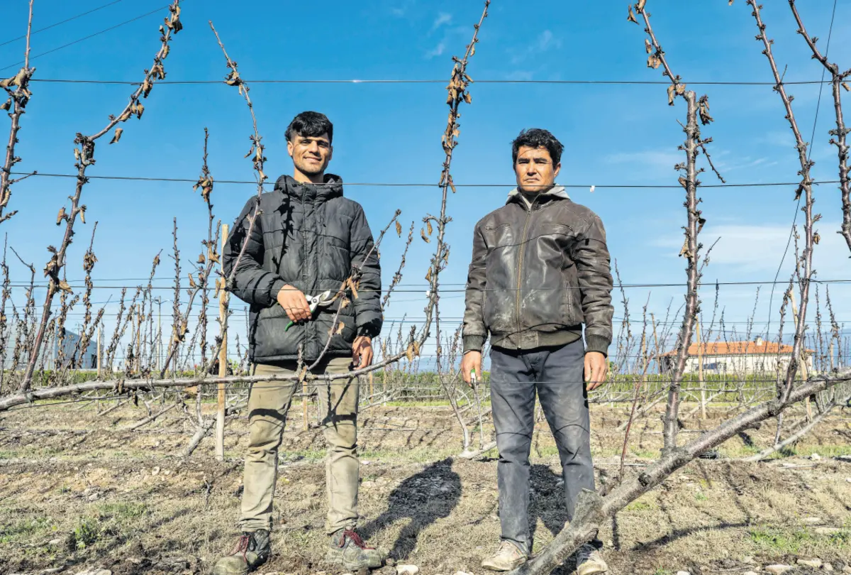 A reportagem, publicada a 11 de fevereiro de 2024, mergulhou no mundo dos imigrantes, no interior do país, escolhendo o Fundão como pano de fundo