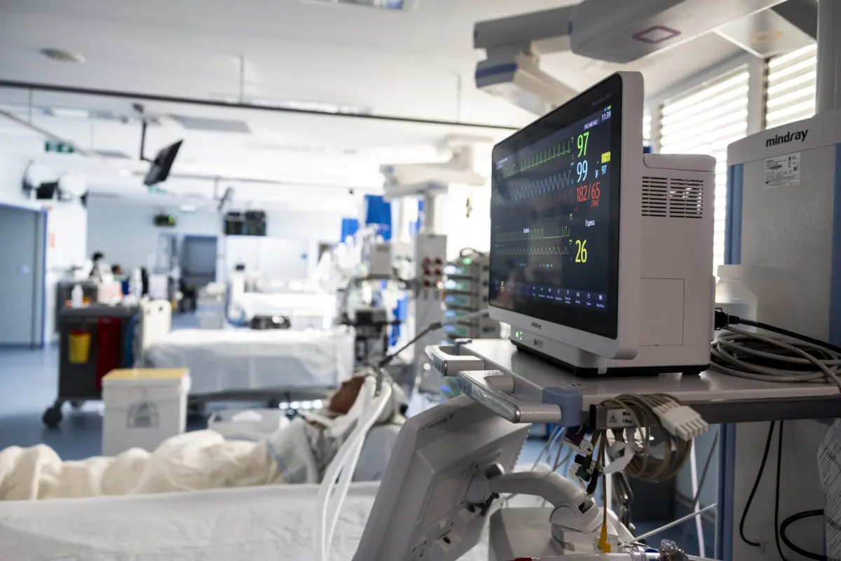 Colesteral "mau" é uma das principais causas de doenças cardiovasculares, que matam uma pessoa a cada 33 segundos