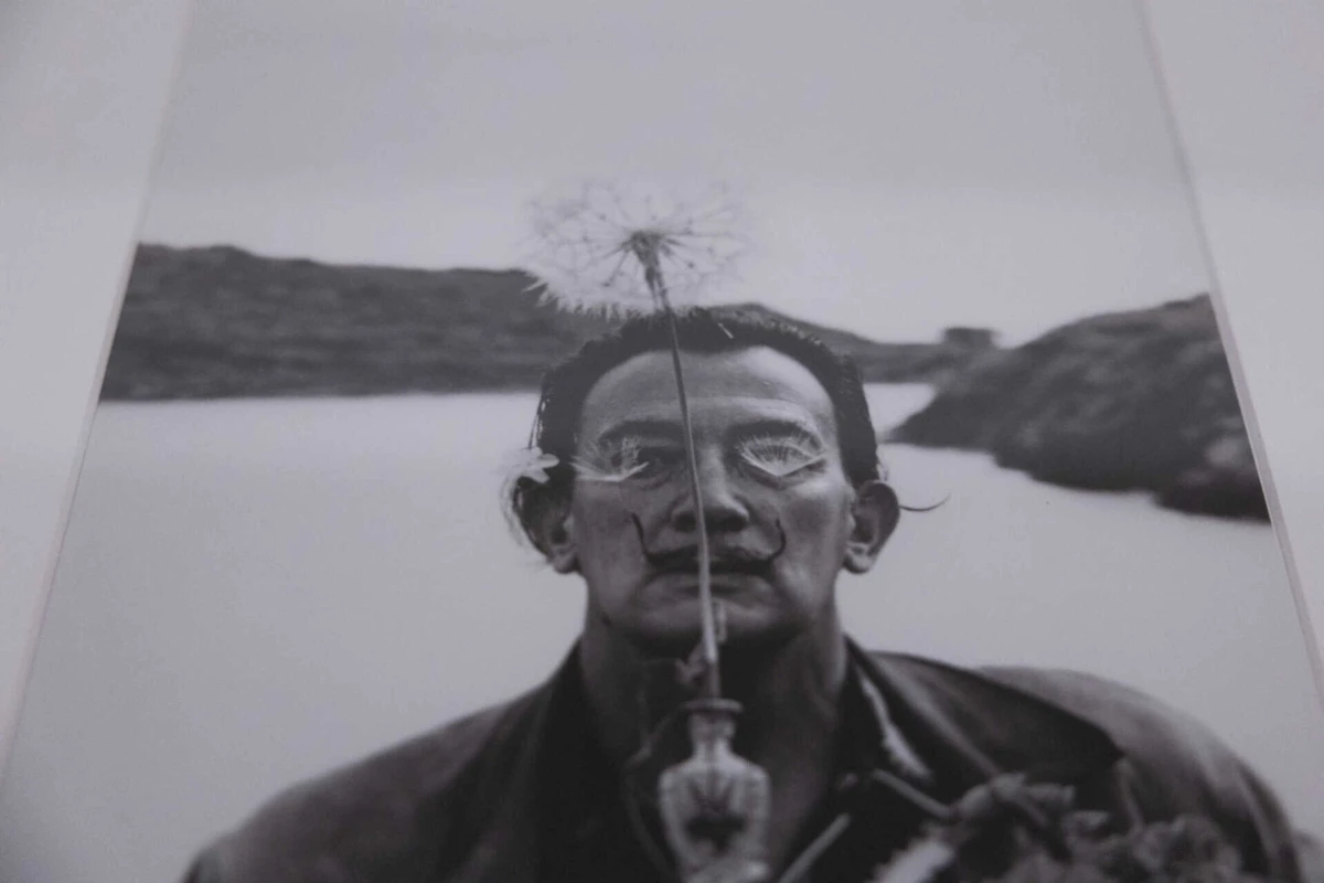 "Universo Dalí" inaugura esta quarta-feira