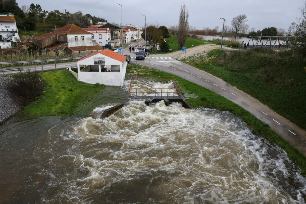 Mau tempo provocou vários danos em Coimbra