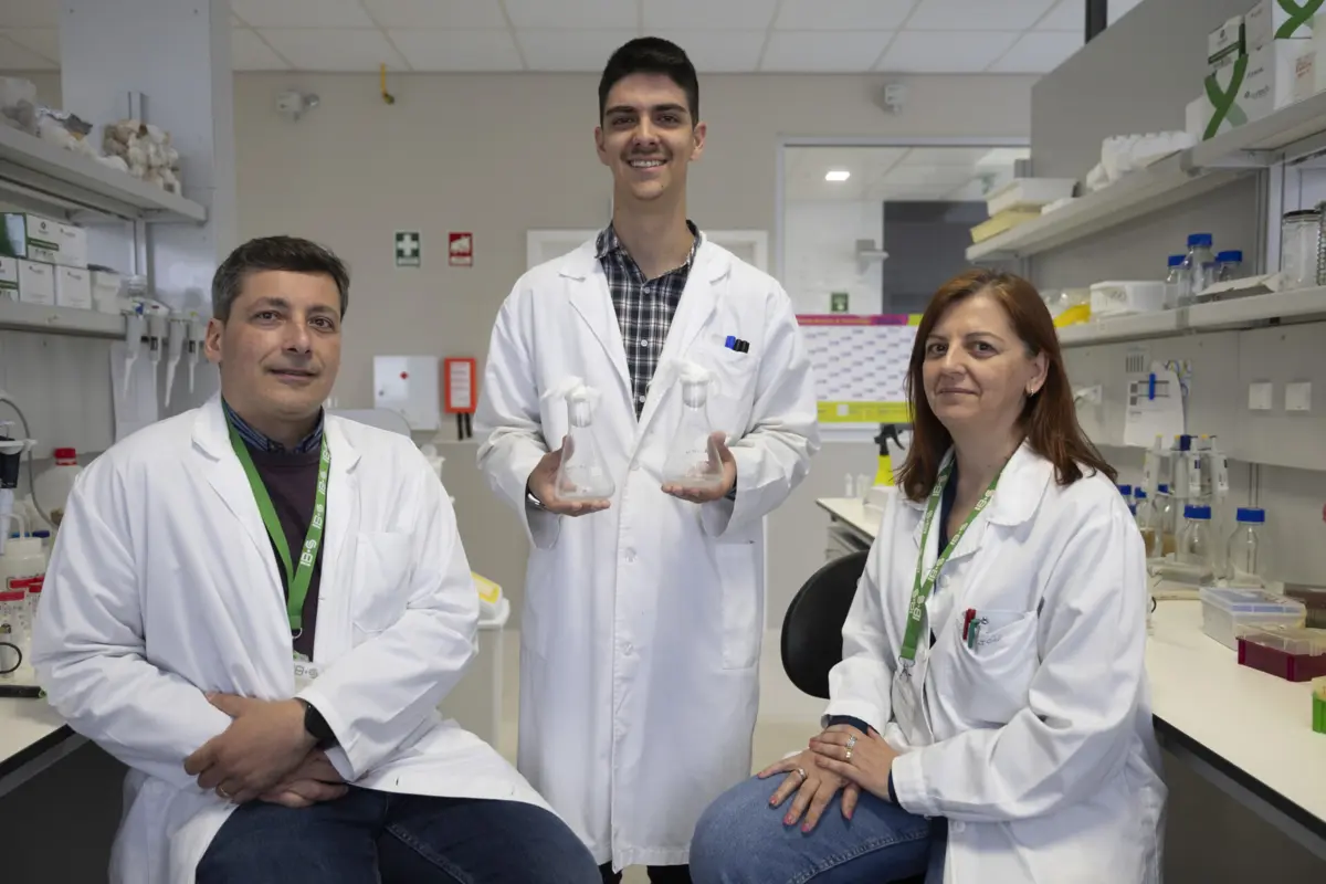 Raul Machado, João Pedro Gomes e Isabel Silva